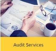 Audit service